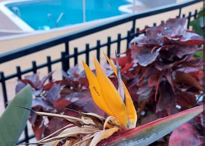 Apartment Balcon Atlantida