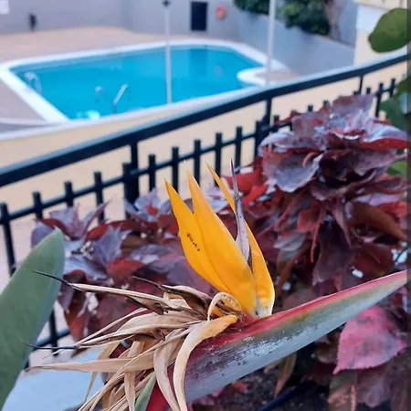 Lägenhet Balcon Atlantida