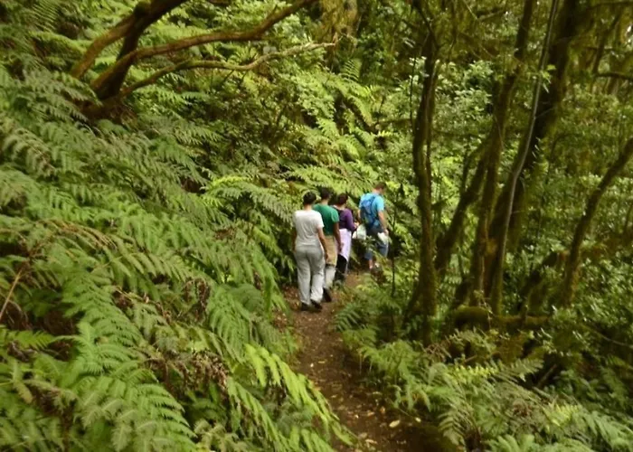 アパート Balcon Atlantida カンデラリア